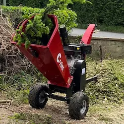 Garden clearance